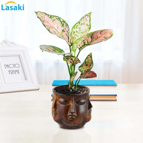 Vivan_Antique_Ceramic_Pots_For_Indoor_Plants,_Planters,_Flower,_Pots,_Gamla,_Outdoor,_Balcony,_Home,_Garden,_Office_Decor,_Succulent_Pot(H_-_10_X_D_-_10_Cm)