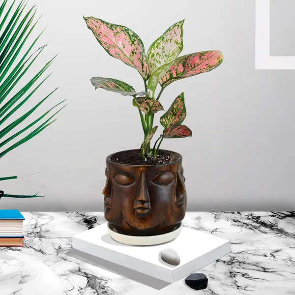 Human_Multi-Face_Antique_Ceramic_Pot_With_White_Saucer_For_Indoor_Plants_Living_Room_Interior_Pots_Plant_Home_Garden_Office_Décor_Gamla_Succulent_Cactus_Planter_(Cir003)