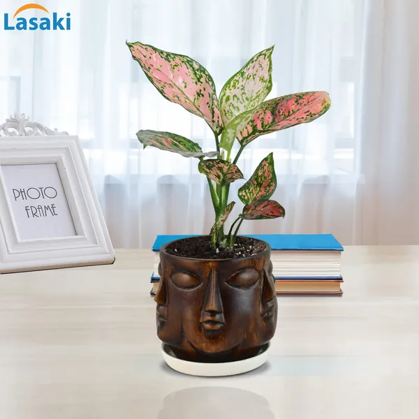 Human_Multi-Face_Antique_Ceramic_Pot_With_White_Saucer_For_Indoor_Plants_Living_Room_Interior_Pots_Plant_Home_Garden_Office_Décor_Gamla_Succulent_Cactus_Planter_(Cir003)