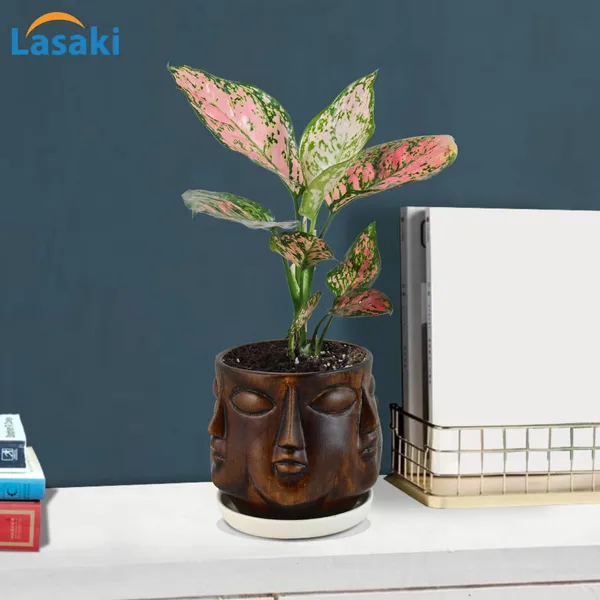 Human_Multi-Face_Antique_Ceramic_Pot_With_White_Saucer_For_Indoor_Plants_Living_Room_Interior_Pots_Plant_Home_Garden_Office_Décor_Gamla_Succulent_Cactus_Planter_(Cir003)