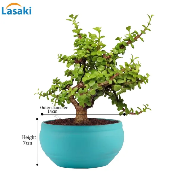 Bowl_Small_Aqua_Ceramic_Pots_For_Indoor_Plants,_Planters,_Flower,_Pots,_Gamla,_Outdoor,_Balcony,_Home,_Garden,_Office_Decor,_Succulent_Pot(D_-_15_X_H_-_8_Cm)