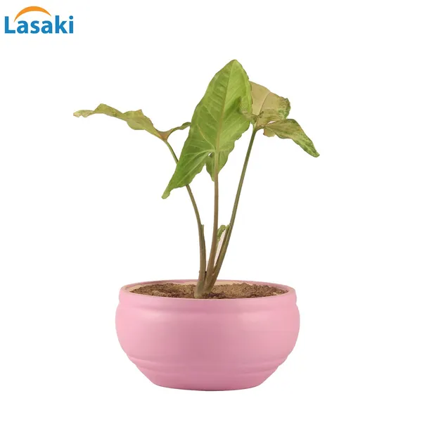 Bowl_Small_Pink_Ceramic_Pots_For_Indoor_Plants,_Planters,_Flower,_Pots,_Gamla,_Outdoor,_Balcony,_Home,_Garden,_Office_Decor,_Succulent_Pot(D_-_15_X_H_-_8_Cm)