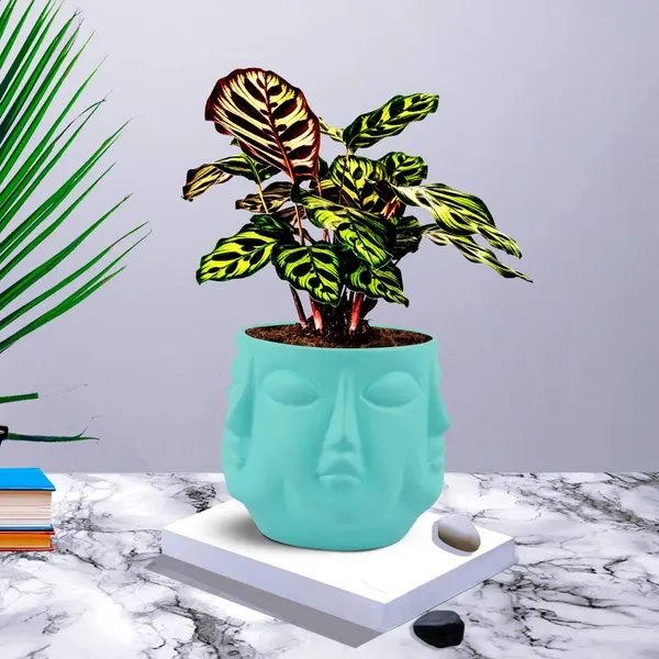 Vivan_Aqua_Ceramic_Pots_For_Indoor_Plants,_Planters,_Flower,_Pots,_Gamla,_Outdoor,_Balcony,_Home,_Garden,_Office_Decor,_Succulent_Pot(H_-_10_X_D_-_10_Cm)