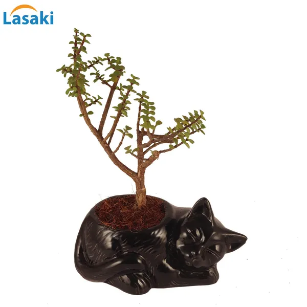 Cat_Animal_Ceramic_Pot_For_Indoor_Plants_Planters_Flower_Pots_Gamla_Indoor_Or_Outdoor_Balcony_Home_Garden_Office_Decor_&_Succulent_Pots_(Dia:_11,_H:12_Cm)(Black)