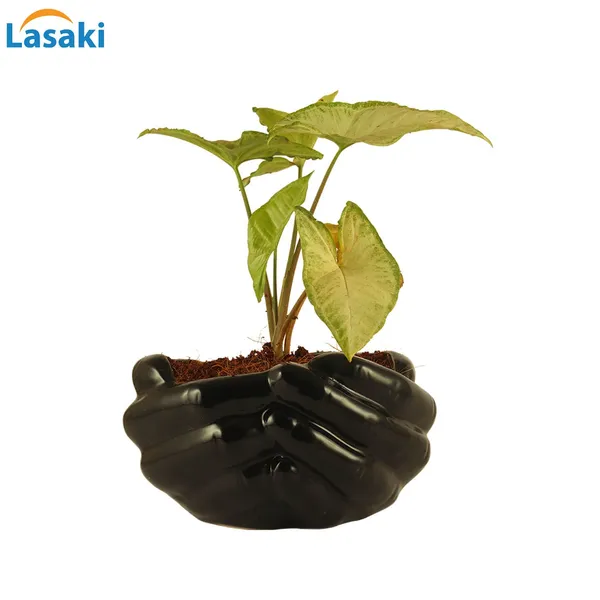 Hand_Ceramic_Pots_For_Indoor_Plants,_Planters,_Flower_Pot_Living_Room_Home_Decor_Office_Tabletop_Desk_Garden_(Color:_Black)
