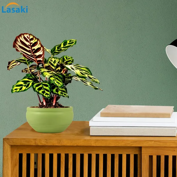 Bowl_Small_Mint_Ceramic_Pots_For_Indoor_Plants,_Planters,_Flower,_Pots,_Gamla,_Outdoor,_Balcony,_Home,_Garden,_Office_Decor,_Succulent_Pot(D_-_15_X_H_-_8_Cm)