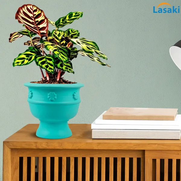 Oreo_Flower_Aqua_Ceramic_Pots_For_Indoor_Plants,_Planters,_Flower,_Pots,_Gamla,_Outdoor,_Balcony,_Home,_Garden,_Office_Decor,_Succulent_Pot_(D_-_21_X_H_-_18_Cm)