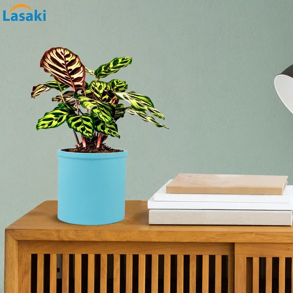 Gloria_Aqua_Ceramic_Pots_For_Indoor_Plants,_Planters,_Flower,_Pots,_Gamla,_Outdoor,_Balcony,_Home,_Garden,_Office_Decor,_Succulent_Pot(H_-_13_X_D_-_13_Cm)