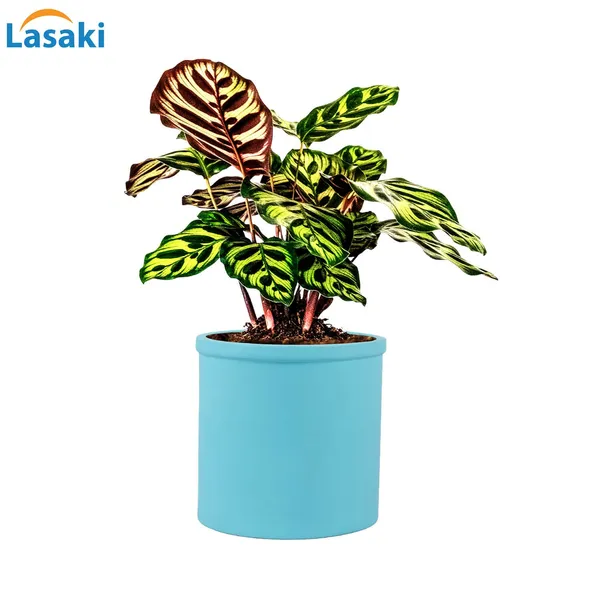 Gloria_Aqua_Ceramic_Pots_For_Indoor_Plants,_Planters,_Flower,_Pots,_Gamla,_Outdoor,_Balcony,_Home,_Garden,_Office_Decor,_Succulent_Pot(H_-_13_X_D_-_13_Cm)