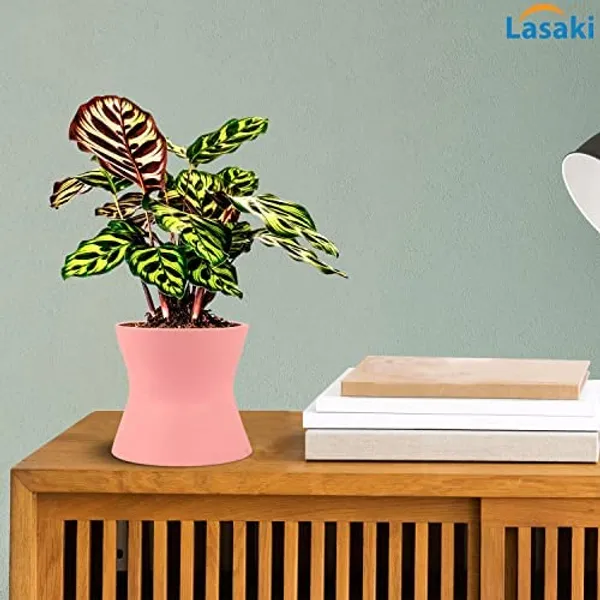 Damru_Pink_Ceramic_Pots_For_Indoor_Plants,_Planters,_Flower,_Pots,_Gamla,_Outdoor,_Balcony,_Home,_Garden,_Office_Decor,_Succulent_Pot(H_-_11_X_D_-_11_Cm)