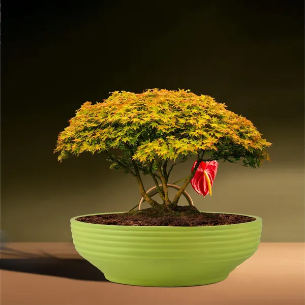 Camry_Medium_Mint_Ceramic_Pots_For_Indoor_Plants,_Planters,_Flower,_Pots,_Gamla,_Outdoor,_Balcony,_Home,_Garden,_Office_Decor,_Succulent,Bonsai(D_-_23_X_H_-_7.5_Cm)