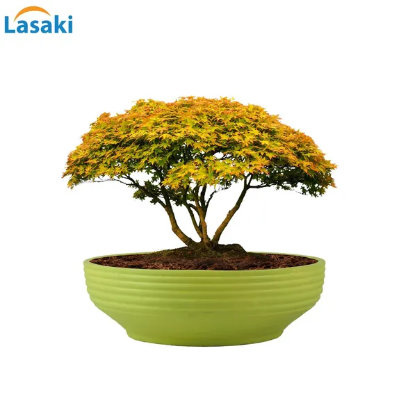 Camry_Medium_Mint_Ceramic_Pots_For_Indoor_Plants,_Planters,_Flower,_Pots,_Gamla,_Outdoor,_Balcony,_Home,_Garden,_Office_Decor,_Succulent,Bonsai(D_-_23_X_H_-_7.5_Cm)