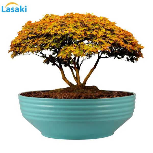 Camry_Medium_Aqua_Ceramic_Pots_For_Indoor_Plants,_Planters,_Flower,_Pots,_Gamla,_Outdoor,_Balcony,_Home,_Garden,_Office_Decor,_Succulent,Bonsai(D_-_23_X_H_-_7.5_Cm)