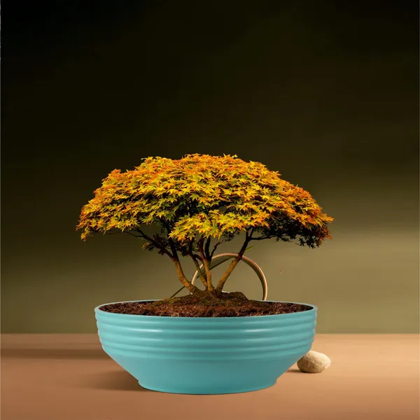 Camry_Medium_Aqua_Ceramic_Pots_For_Indoor_Plants,_Planters,_Flower,_Pots,_Gamla,_Outdoor,_Balcony,_Home,_Garden,_Office_Decor,_Succulent,Bonsai(D_-_23_X_H_-_7.5_Cm)