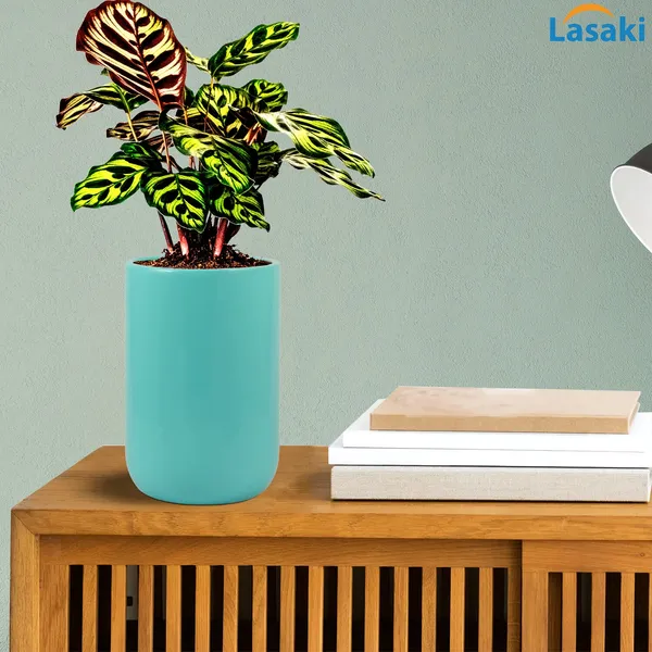 Jack_Aqua_Ceramic_Pots_For_Indoor_Plants,_Planters,_Flower,_Pots,_Gamla,_Outdoor,_Balcony,_Home,_Garden,_Office_Decor,_Succulent_Pot(H_-_15_X_D_-_10_Cm)