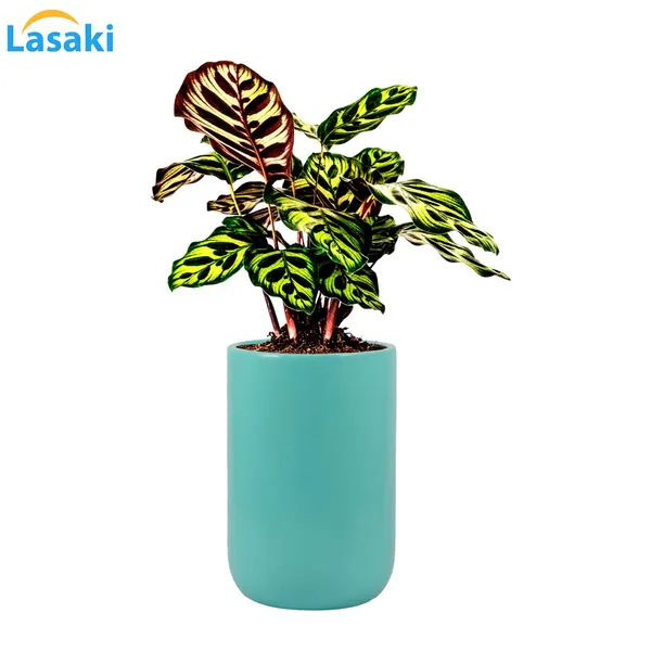 Jack_Aqua_Ceramic_Pots_For_Indoor_Plants,_Planters,_Flower,_Pots,_Gamla,_Outdoor,_Balcony,_Home,_Garden,_Office_Decor,_Succulent_Pot(H_-_15_X_D_-_10_Cm)