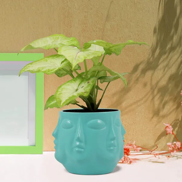 Vivan_Aqua_Ceramic_Pots_For_Indoor_Plants,_Planters,_Flower,_Pots,_Gamla,_Outdoor,_Balcony,_Home,_Garden,_Office_Decor,_Succulent_Pot(H_-_10_X_D_-_10_Cm)