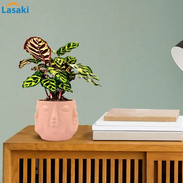 Vivan_Pink_Ceramic_Pots_For_Indoor_Plants,_Planters,_Flower,_Pots,_Gamla,_Outdoor,_Balcony,_Home,_Garden,_Office_Decor,_Succulent_Pot(H_-_10_X_D_-_10_Cm)
