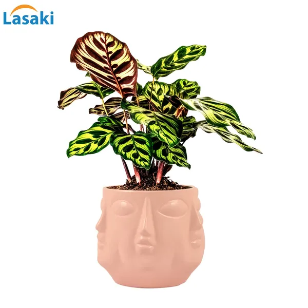 Vivan_Pink_Ceramic_Pots_For_Indoor_Plants,_Planters,_Flower,_Pots,_Gamla,_Outdoor,_Balcony,_Home,_Garden,_Office_Decor,_Succulent_Pot(H_-_10_X_D_-_10_Cm)