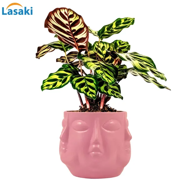Vivan_Purple_Ceramic_Pots_For_Indoor_Plants,_Planters,_Flower,_Pots,_Gamla,_Outdoor,_Balcony,_Home,_Garden,_Office_Decor,_Succulent_Pot(H_-_10_X_D_-_10_Cm)