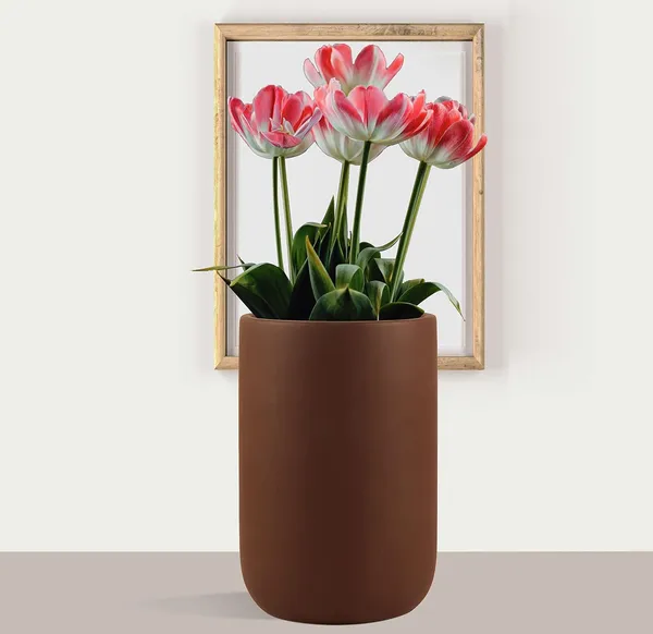 Jack_Truffle_Ceramic_Pots_For_Indoor_Plants,_Planters,_Flower,_Pots,_Gamla,_Outdoor,_Balcony,_Home,_Garden,_Office_Decor,_Succulent_Pot(H_-_15_X_D_-_10_Cm)