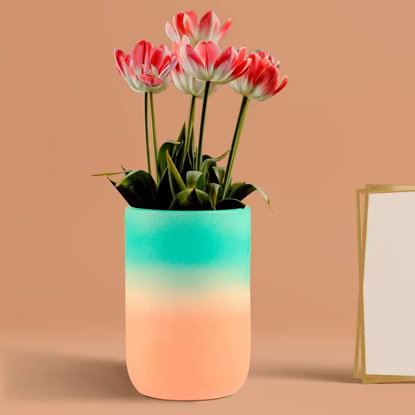 Jack_3T_Pwa_Ceramic_Pots_For_Indoor_Plants,_Planters,_Flower,_Pots,_Gamla,_Outdoor,_Balcony,_Home,_Garden,_Office_Decor,_Succulent_Pot(H_-_15_X_D_-_10_Cm)