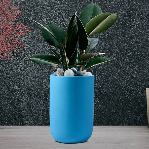 Jack_Aqua_Ceramic_Pots_For_Indoor_Plants,_Planters,_Flower,_Pots,_Gamla,_Outdoor,_Balcony,_Home,_Garden,_Office_Decor,_Succulent_Pot(H_-_15_X_D_-_10_Cm)