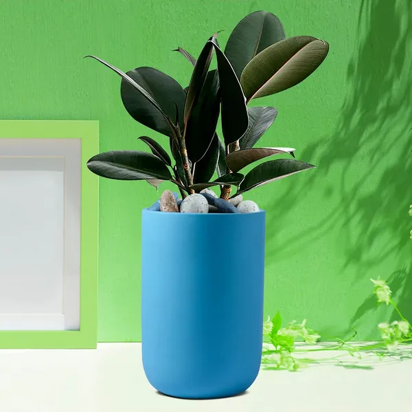 Jack_Aqua_Ceramic_Pots_For_Indoor_Plants,_Planters,_Flower,_Pots,_Gamla,_Outdoor,_Balcony,_Home,_Garden,_Office_Decor,_Succulent_Pot(H_-_15_X_D_-_10_Cm)