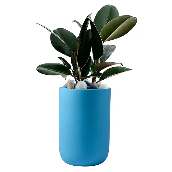 Jack_Aqua_Ceramic_Pots_For_Indoor_Plants,_Planters,_Flower,_Pots,_Gamla,_Outdoor,_Balcony,_Home,_Garden,_Office_Decor,_Succulent_Pot(H_-_15_X_D_-_10_Cm)