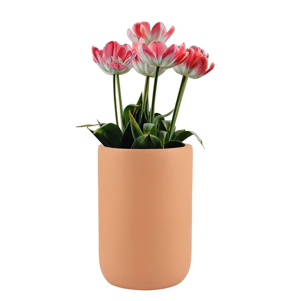 Jack_Ginger_Ceramic_Pots_For_Indoor_Plants,_Planters,_Flower,_Pots,_Gamla,_Outdoor,_Balcony,_Home,_Garden,_Office_Decor,_Succulent_Pot(H_-_15_X_D_-_10_Cm)