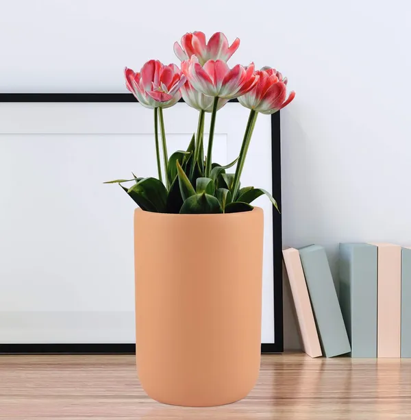 Jack_Ginger_Ceramic_Pots_For_Indoor_Plants,_Planters,_Flower,_Pots,_Gamla,_Outdoor,_Balcony,_Home,_Garden,_Office_Decor,_Succulent_Pot(H_-_15_X_D_-_10_Cm)