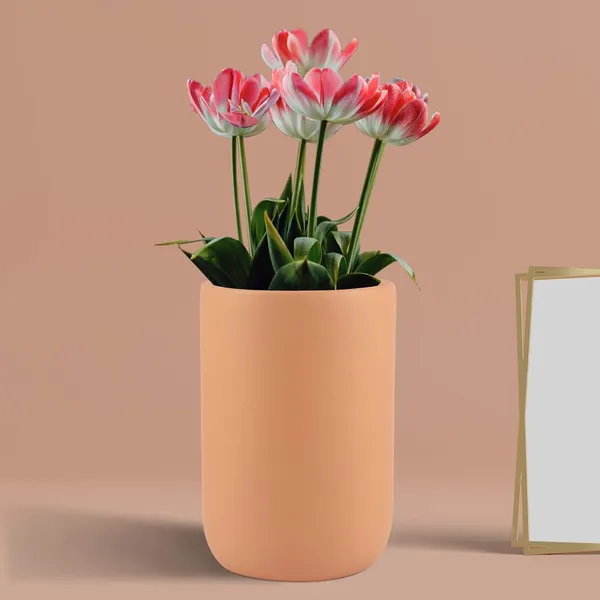 Jack_Ginger_Ceramic_Pots_For_Indoor_Plants,_Planters,_Flower,_Pots,_Gamla,_Outdoor,_Balcony,_Home,_Garden,_Office_Decor,_Succulent_Pot(H_-_15_X_D_-_10_Cm)