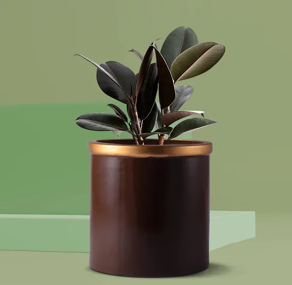 Gloria_Truffle_Golden_Ceramic_Pots_For_Indoor_Plants,_Planters,_Flower,_Pots,_Gamla,_Outdoor,_Balcony,_Home,_Garden,_Office_Decor,_Succulent_Pot(H_-_13_X_D_-_13_Cm)