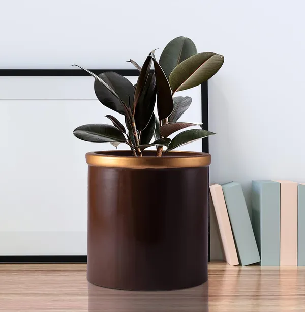Gloria_Truffle_Golden_Ceramic_Pots_For_Indoor_Plants,_Planters,_Flower,_Pots,_Gamla,_Outdoor,_Balcony,_Home,_Garden,_Office_Decor,_Succulent_Pot(H_-_13_X_D_-_13_Cm)