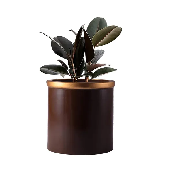 Gloria_Truffle_Golden_Ceramic_Pots_For_Indoor_Plants,_Planters,_Flower,_Pots,_Gamla,_Outdoor,_Balcony,_Home,_Garden,_Office_Decor,_Succulent_Pot(H_-_13_X_D_-_13_Cm)