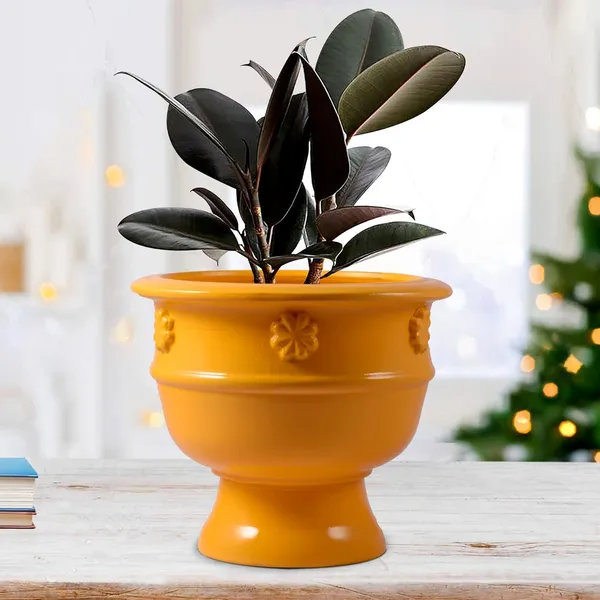 Oreo_Flower_Saffron_Ceramic_Pots_For_Indoor_Plants,_Planters,_Flower,_Pots,_Gamla,_Outdoor,_Balcony,_Home,_Garden,_Office_Decor,_Succulent_Pot_(D_-_21_X_H_-_18_Cm)
