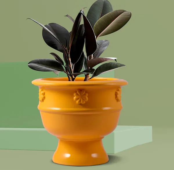 Oreo_Flower_Saffron_Ceramic_Pots_For_Indoor_Plants,_Planters,_Flower,_Pots,_Gamla,_Outdoor,_Balcony,_Home,_Garden,_Office_Decor,_Succulent_Pot_(D_-_21_X_H_-_18_Cm)