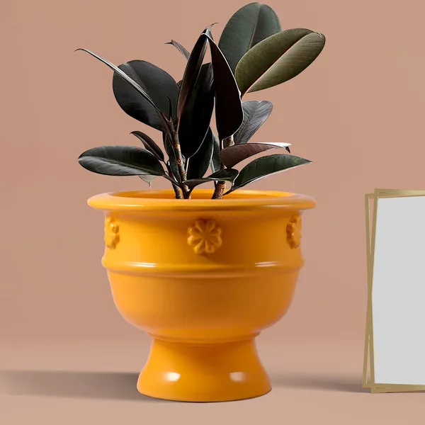 Oreo_Flower_Saffron_Ceramic_Pots_For_Indoor_Plants,_Planters,_Flower,_Pots,_Gamla,_Outdoor,_Balcony,_Home,_Garden,_Office_Decor,_Succulent_Pot_(D_-_21_X_H_-_18_Cm)