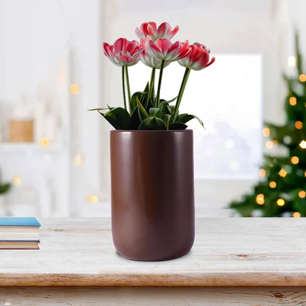 Jack_Truffle_Ceramic_Pots_For_Indoor_Plants,_Planters,_Flower,_Pots,_Gamla,_Outdoor,_Balcony,_Home,_Garden,_Office_Decor,_Succulent_Pot(H_-_15_X_D_-_10_Cm)