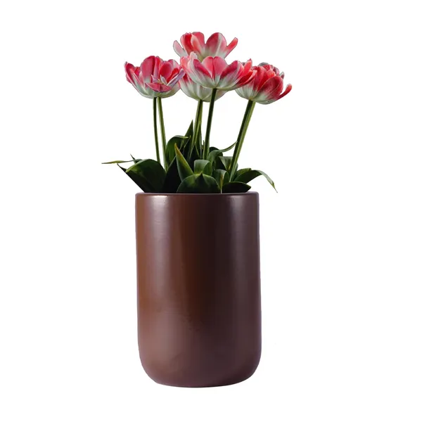 Jack_Truffle_Ceramic_Pots_For_Indoor_Plants,_Planters,_Flower,_Pots,_Gamla,_Outdoor,_Balcony,_Home,_Garden,_Office_Decor,_Succulent_Pot(H_-_15_X_D_-_10_Cm)