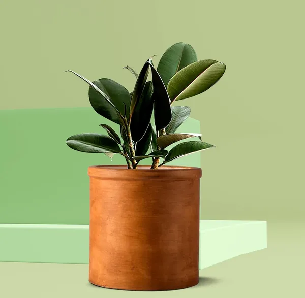 Gloria_Antique_Ceramic_Pots_For_Indoor_Plants,_Planters,_Flower,_Pots,_Gamla,_Outdoor,_Balcony,_Home,_Garden,_Office_Decor,_Succulent_Pot(H_-_13_X_D_-_13_Cm)