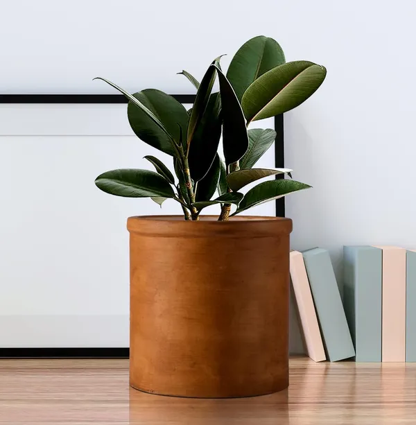 Gloria_Antique_Ceramic_Pots_For_Indoor_Plants,_Planters,_Flower,_Pots,_Gamla,_Outdoor,_Balcony,_Home,_Garden,_Office_Decor,_Succulent_Pot(H_-_13_X_D_-_13_Cm)