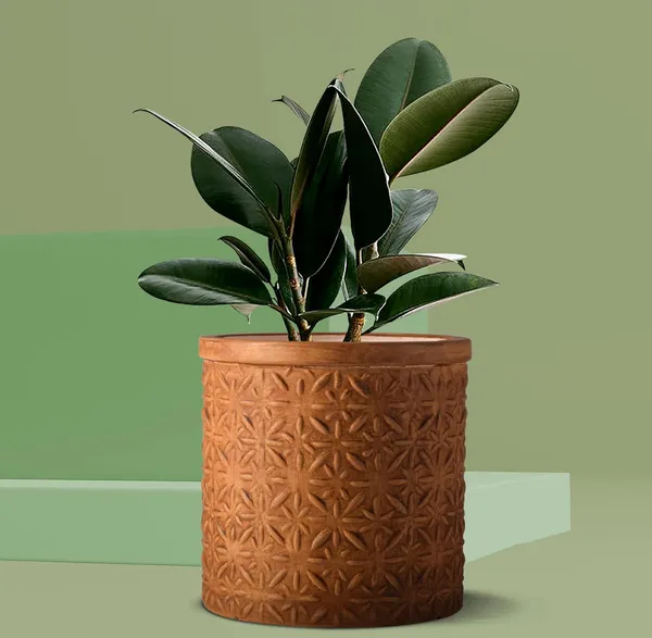 Gloria_Flower_Antique_Ceramic_Pots_For_Indoor_Plants,_Planters,_Flower,_Pots,_Gamla,_Outdoor,_Balcony,_Home,_Garden,_Office_Decor,_Succulent_Pot(H_-_13_X_D_-_13_Cm)