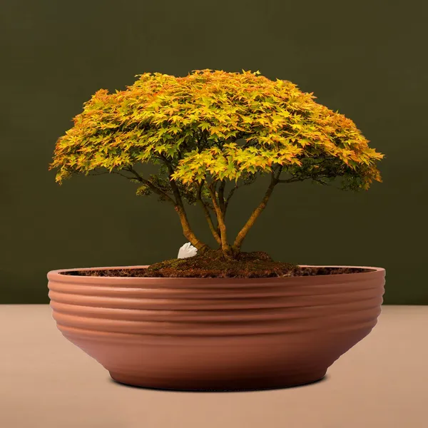 Camry_Medium_Ginger_Ceramic_Pots_For_Indoor_Plants,_Planters,_Flower,Pots,_Gamla,_Outdoor,_Balcony,_Home,_Garden,_Office_Decor,_Succulent,Bonsai(D-23_Xh-7.5_Cm),Multicolor