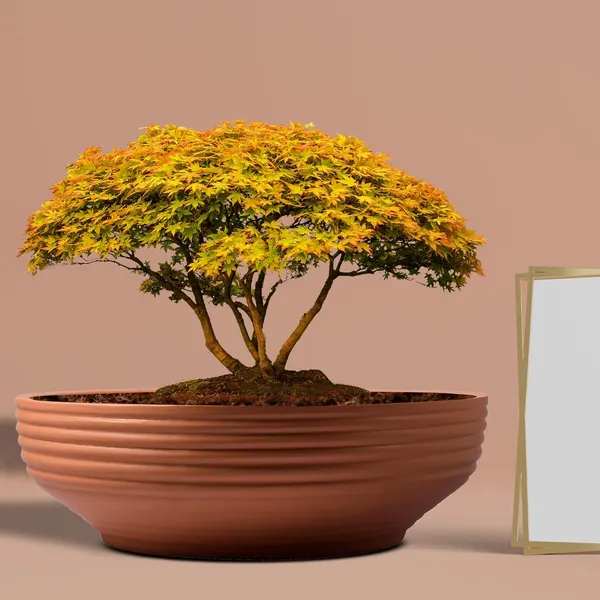 Camry_Medium_Ginger_Ceramic_Pots_For_Indoor_Plants,_Planters,_Flower,Pots,_Gamla,_Outdoor,_Balcony,_Home,_Garden,_Office_Decor,_Succulent,Bonsai(D-23_Xh-7.5_Cm),Multicolor
