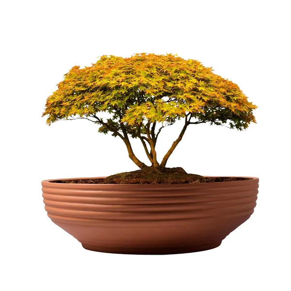 Camry_Medium_Ginger_Ceramic_Pots_For_Indoor_Plants,_Planters,_Flower,Pots,_Gamla,_Outdoor,_Balcony,_Home,_Garden,_Office_Decor,_Succulent,Bonsai(D-23_Xh-7.5_Cm),Multicolor