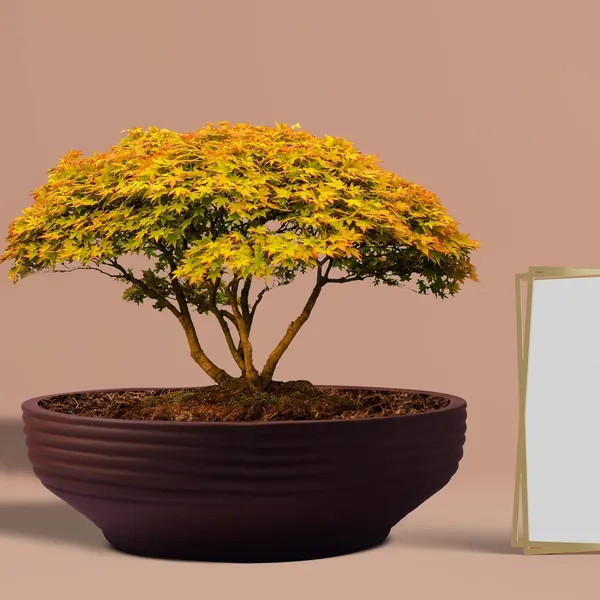 Camry_Medium_Truffle_Ceramic_Pots_For_Indoor_Plants,_Planters,_Flower,_Pots,_Gamla,_Outdoor,_Balcony,_Home,_Garden,_Office_Decor,_Succulent,Bonsai(D_-_23_X_H_-_7.5_Cm)