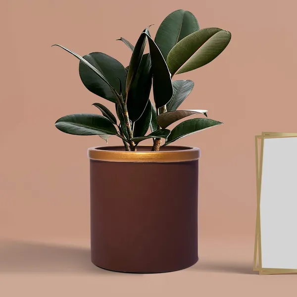 Gloria_Truffle_Golden_Ceramic_Pots_For_Indoor_Plants,_Planters,_Flower,_Pots,_Gamla,_Outdoor,_Balcony,_Home,_Garden,_Office_Decor,_Succulent_Pot(H_-_13_X_D_-_13_Cm)