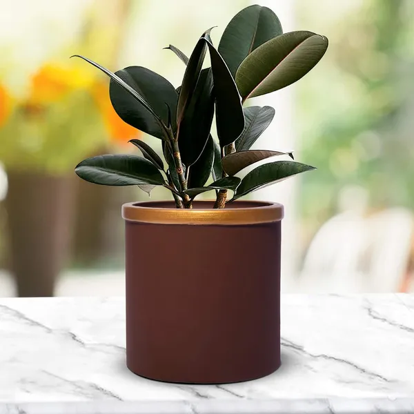 Gloria_Truffle_Golden_Ceramic_Pots_For_Indoor_Plants,_Planters,_Flower,_Pots,_Gamla,_Outdoor,_Balcony,_Home,_Garden,_Office_Decor,_Succulent_Pot(H_-_13_X_D_-_13_Cm)