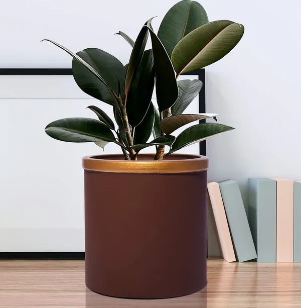 Gloria_Truffle_Golden_Ceramic_Pots_For_Indoor_Plants,_Planters,_Flower,_Pots,_Gamla,_Outdoor,_Balcony,_Home,_Garden,_Office_Decor,_Succulent_Pot(H_-_13_X_D_-_13_Cm)